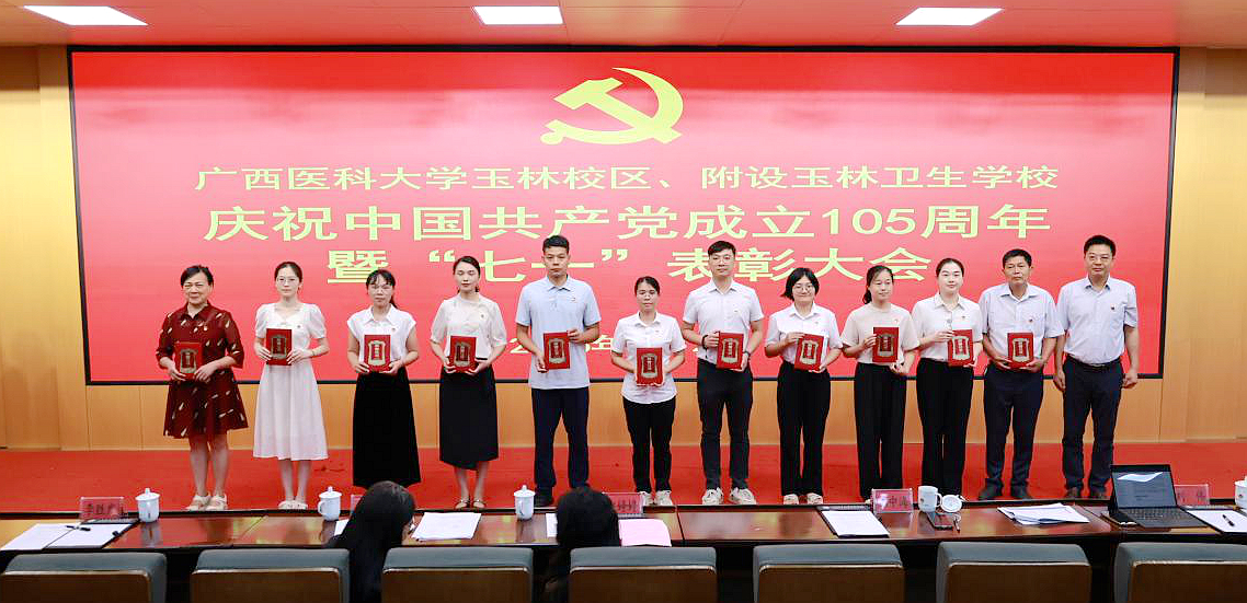 七一表彰2_副本.jpg
