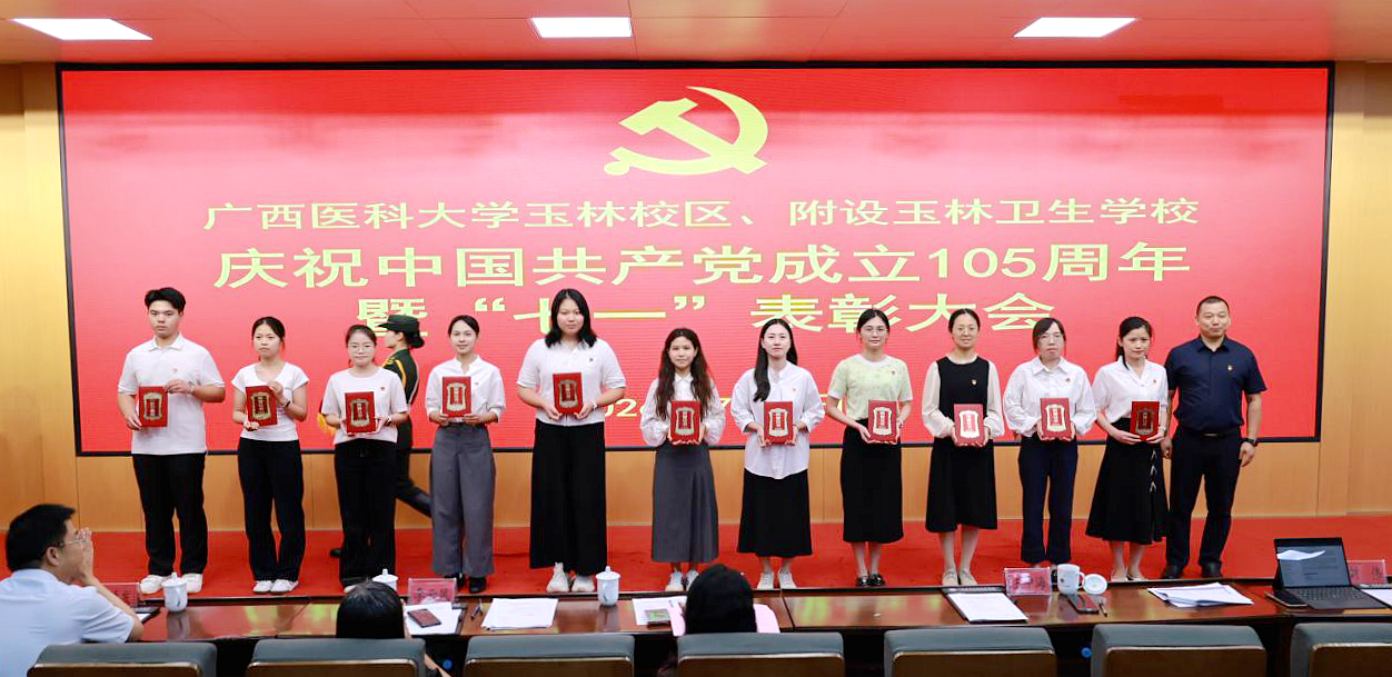 七一表彰3_副本.jpg