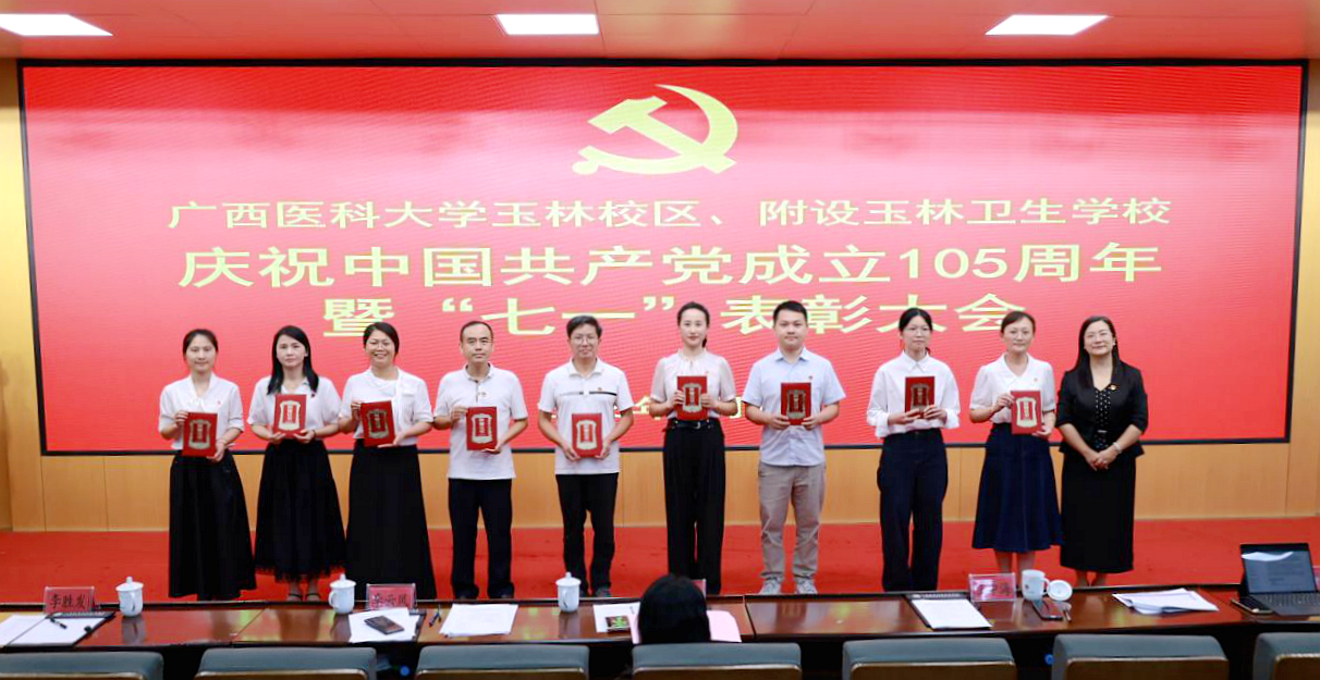 七一表彰4_副本.jpg